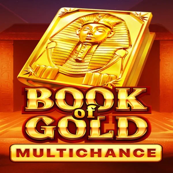 Book of Gold Multichance logo by Playson at Spinogrino Casino